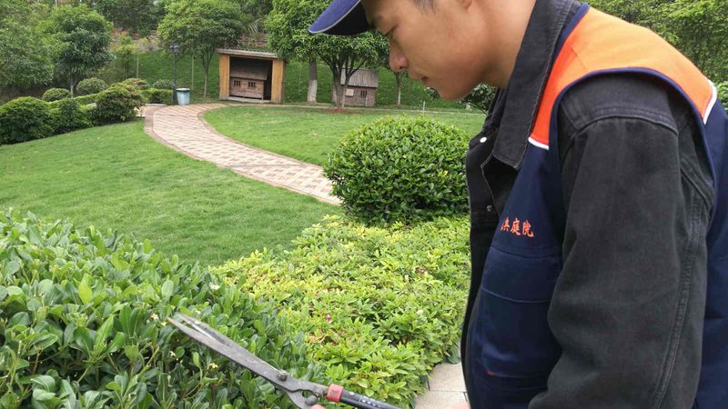 别墅屋顶绿化成本预算报价全解析