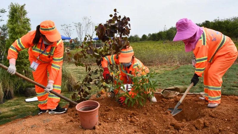 南方园林植物搭配：打造生态宜居的绿色空间**