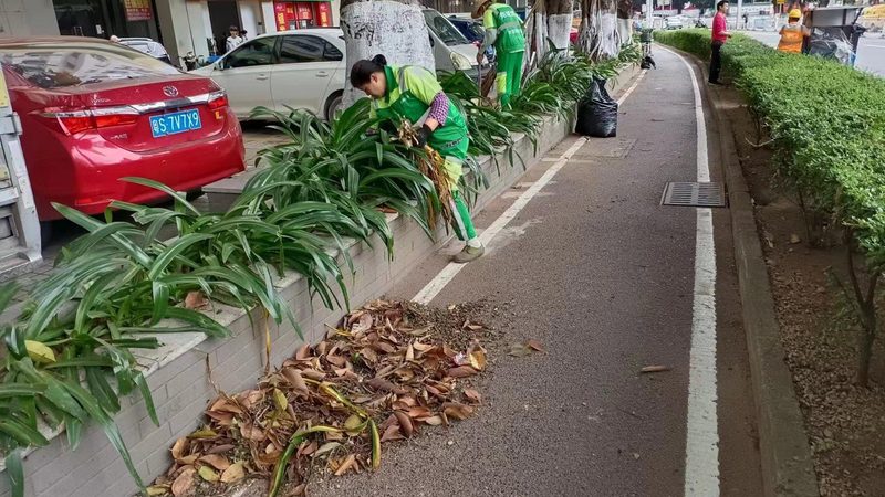 市政园林绿化工程施工流程解析