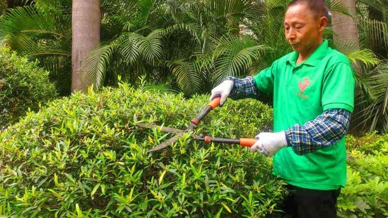 别墅庭院设计加盟品牌，如何选择？**
