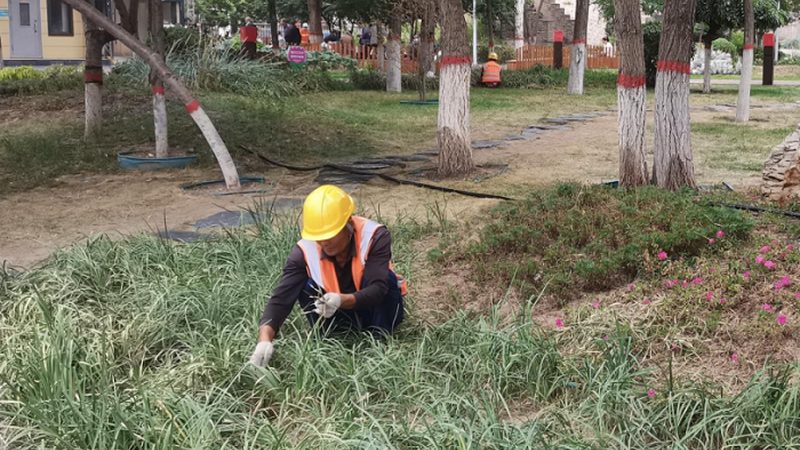 边坡喷播植草报价影响因素解析**