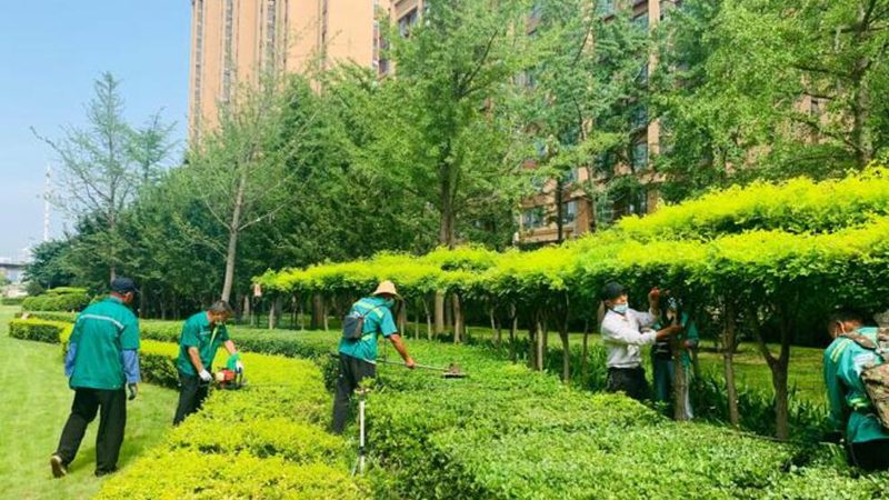 成都开业庆典绿植租赁：如何打造绿色氛围**